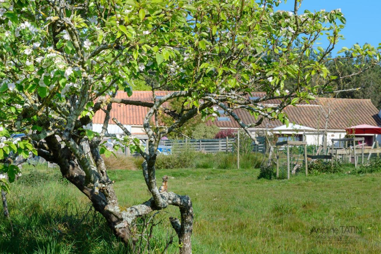 La Chevrerie Acomodação com café da manhã Vairé Exterior foto
